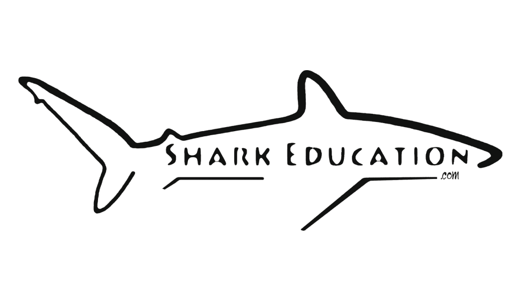 En video : à la rencontre du requin-tigre avec Shark Education